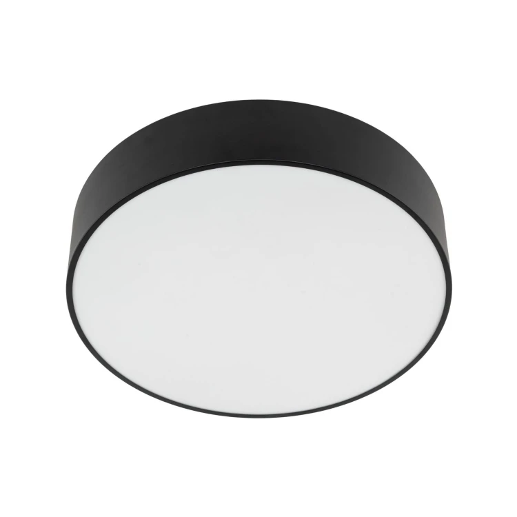 10988_LIVO_BLACK_P.jpg