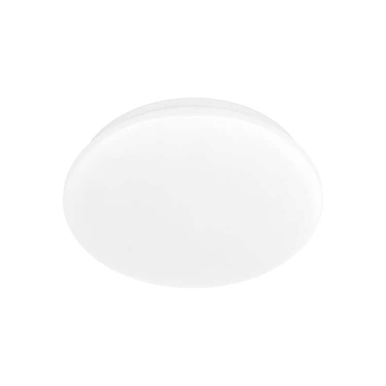 18220_OYSTER_P.jpg