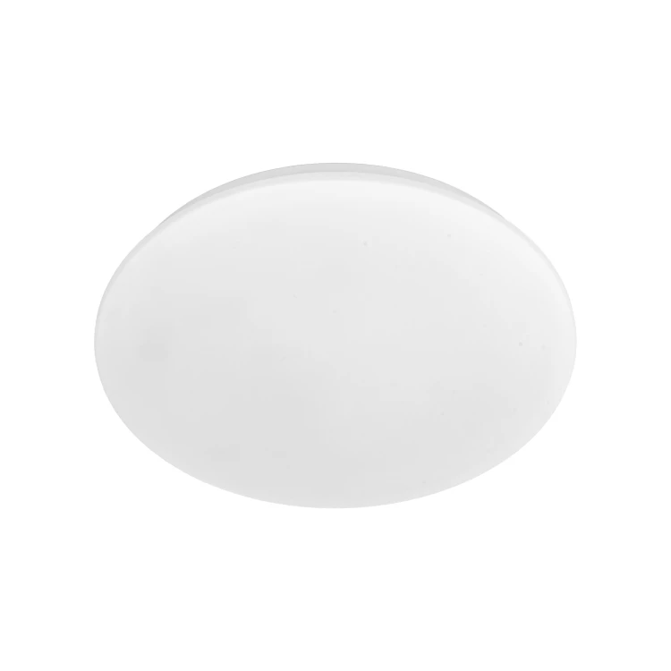 18221_OYSTER_P.jpg