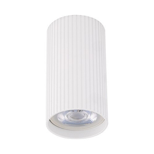 10023_TUNE_WHITE_A.jpg
