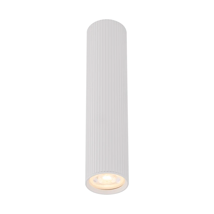 10027_TUNE_WHITE_O.jpg