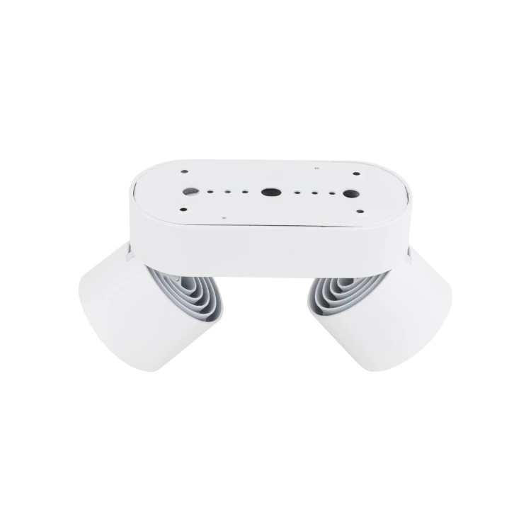 18171_SPARK_DUO_WHITE_CCT_20W_G.jpg