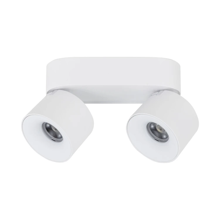 18171_SPARK_DUO_WHITE_CCT_20W_L.jpg