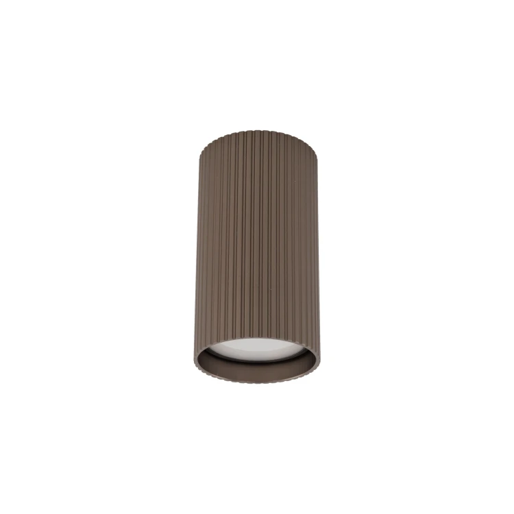11027_TUNE_BROWN_S_A.jpg