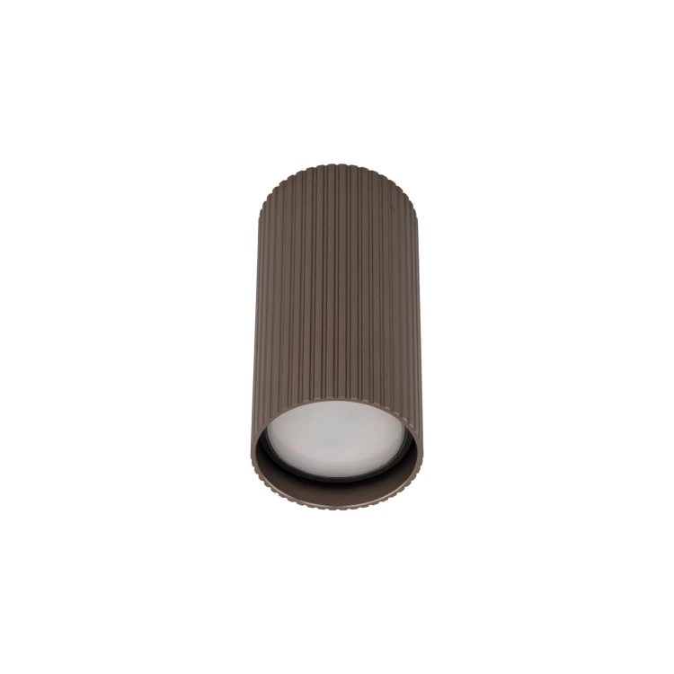 11027_TUNE_BROWN_S_P.jpg