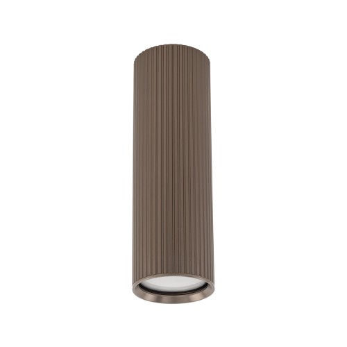 11028_TUNE_BROWN_M_A.jpg