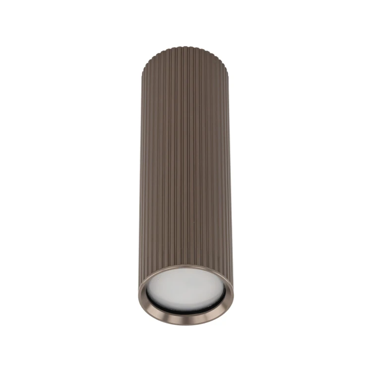 11028_TUNE_BROWN_M_P.jpg