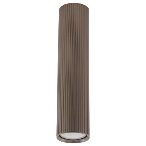 11029_TUNE_BROWN_L_A.jpg