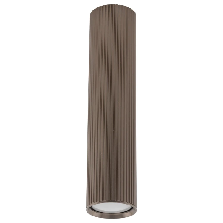 11029_TUNE_BROWN_L_A.jpg