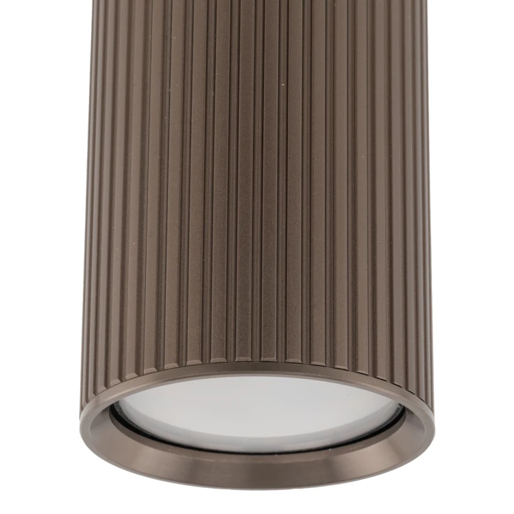 11029_TUNE_BROWN_L_D.jpg