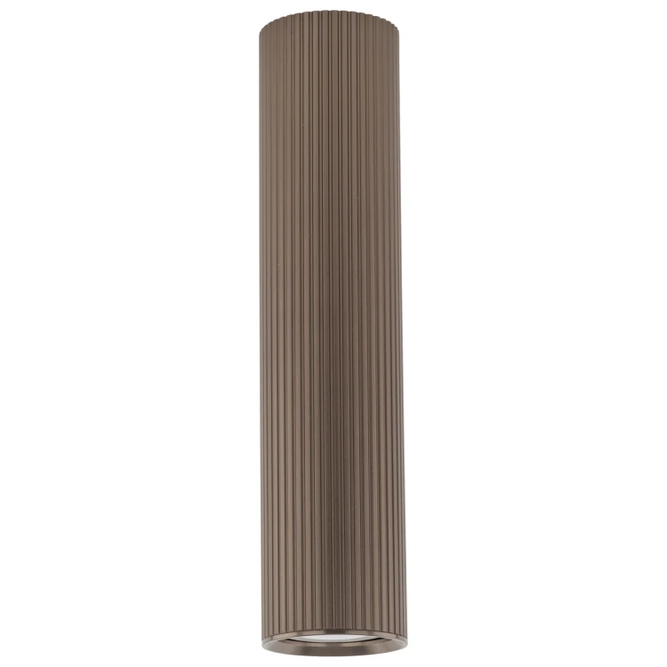 11029_TUNE_BROWN_L_L.jpg
