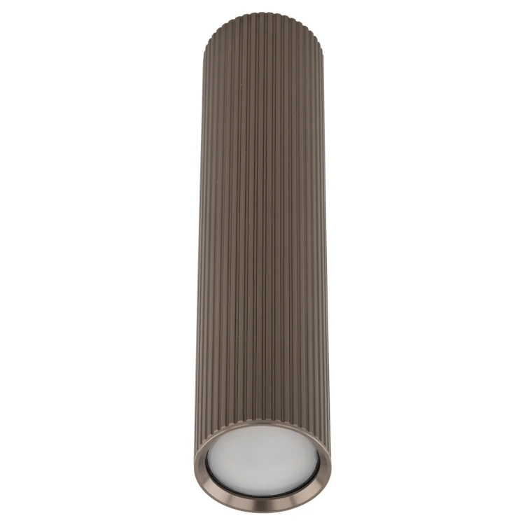 11029_TUNE_BROWN_L_P.jpg