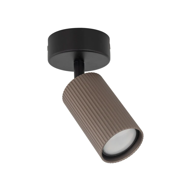 16146_TUNE_BROWN_A.jpg
