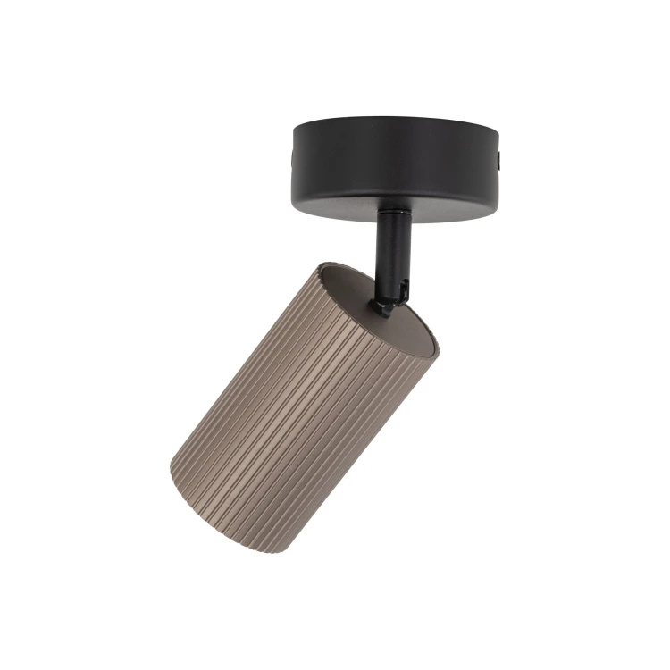 16146_TUNE_BROWN_T.jpg