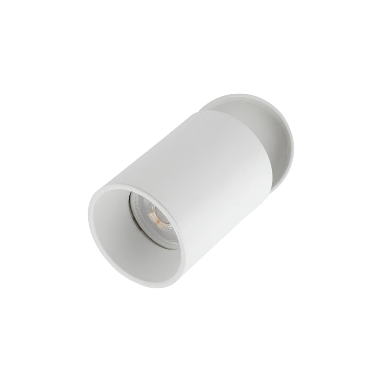 5373_TOP_DOWNLIGHT_WHITE_L2.jpg
