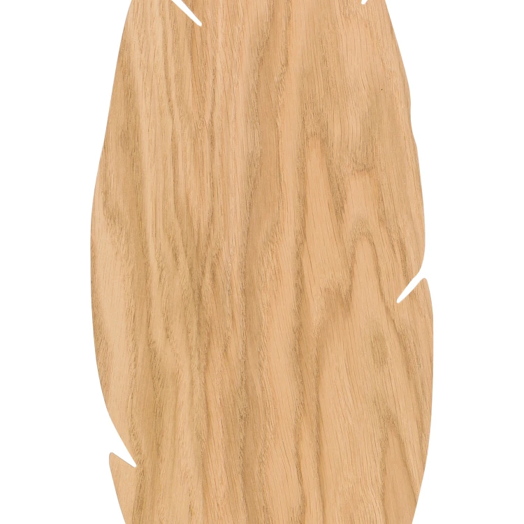4678_HOJA_D2.jpg