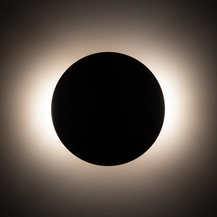 10623_LUNA_SABIA_B.jpg