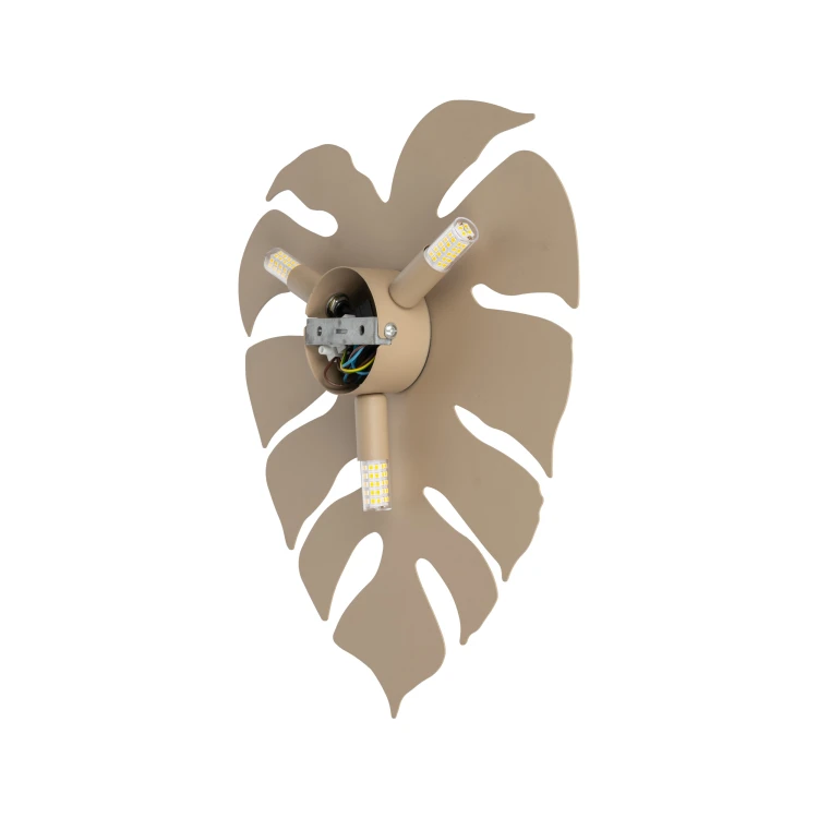 10626_MONSTERA_SABIA_T.jpg