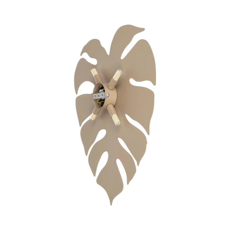 10627_MONSTERA_SABIA_T.jpg