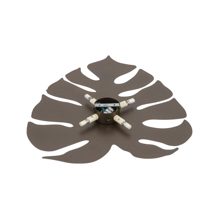 5822_MONSTERA_BROWN_XL_D.jpg