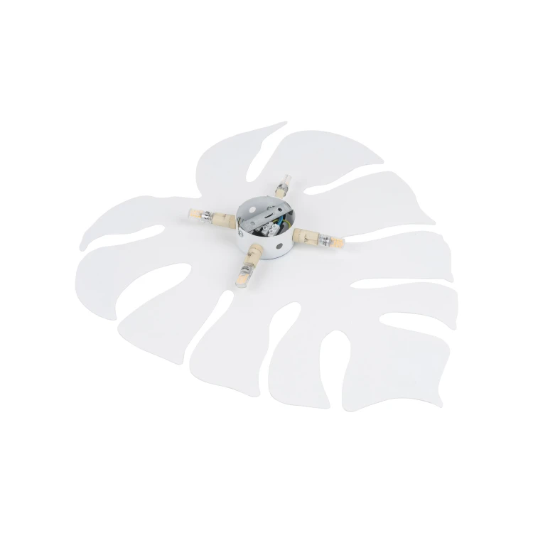 5915_MONSTERA_WHITE_XL_D.jpg