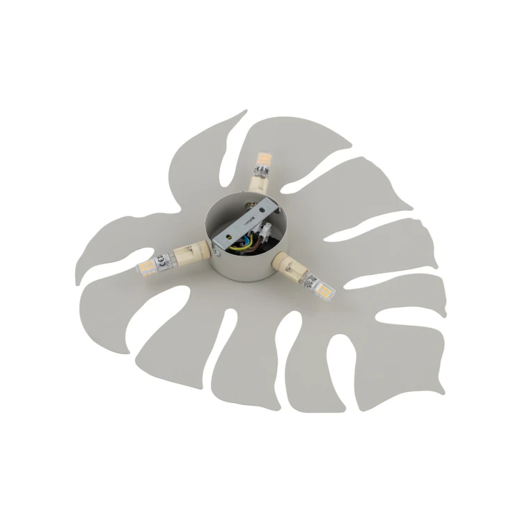 5946_MONSTERA_BEIGE_D.jpg