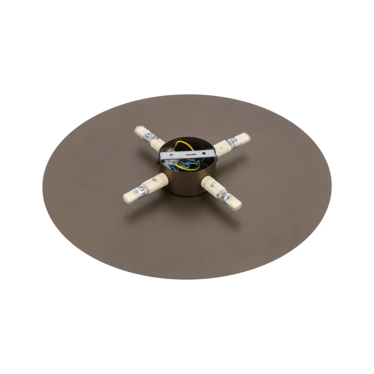6455_LUNA_BROWN_T.jpg