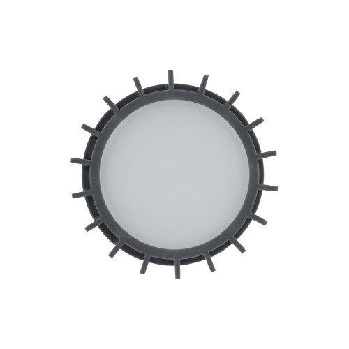 11508_RIBO_GRAY_D_P.jpg