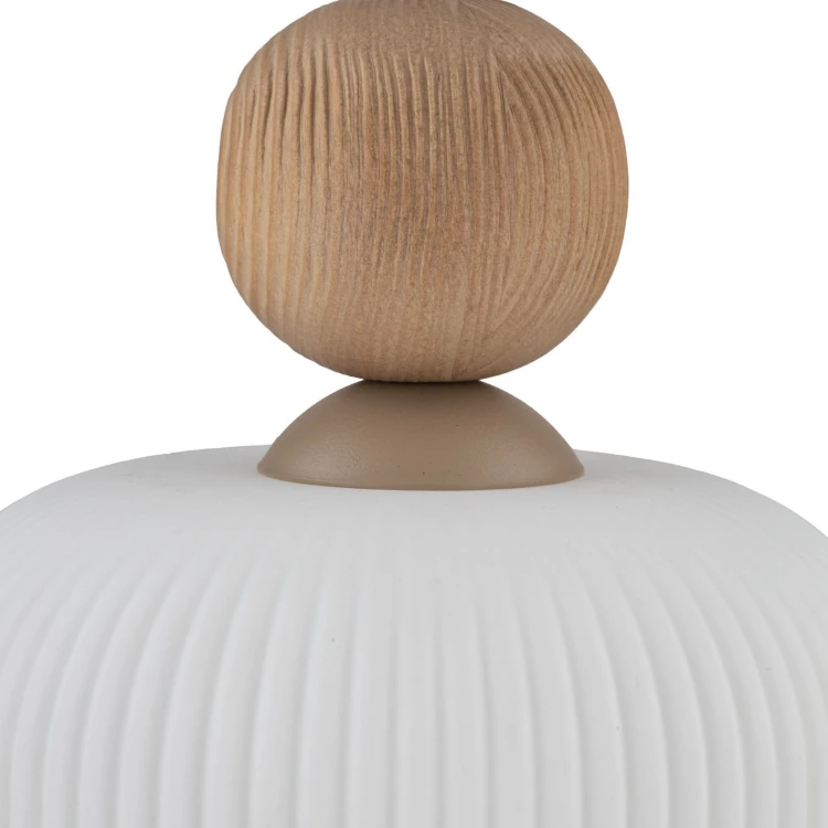 11049_BALLO_D.jpg