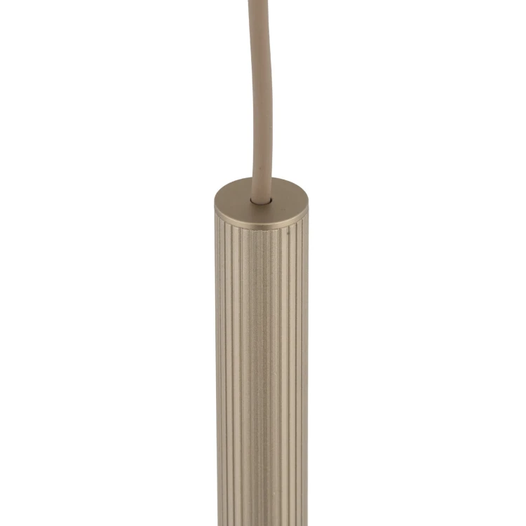 11423_FERRO_SABIA_CHAMPAGNE_500_D_G.jpg