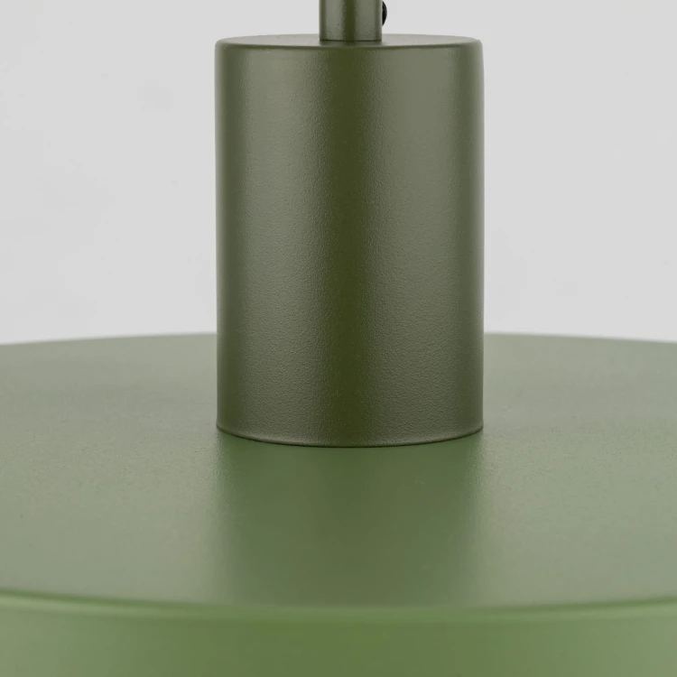 10761_SILA_GREEN_PEAPOD_D1.jpg