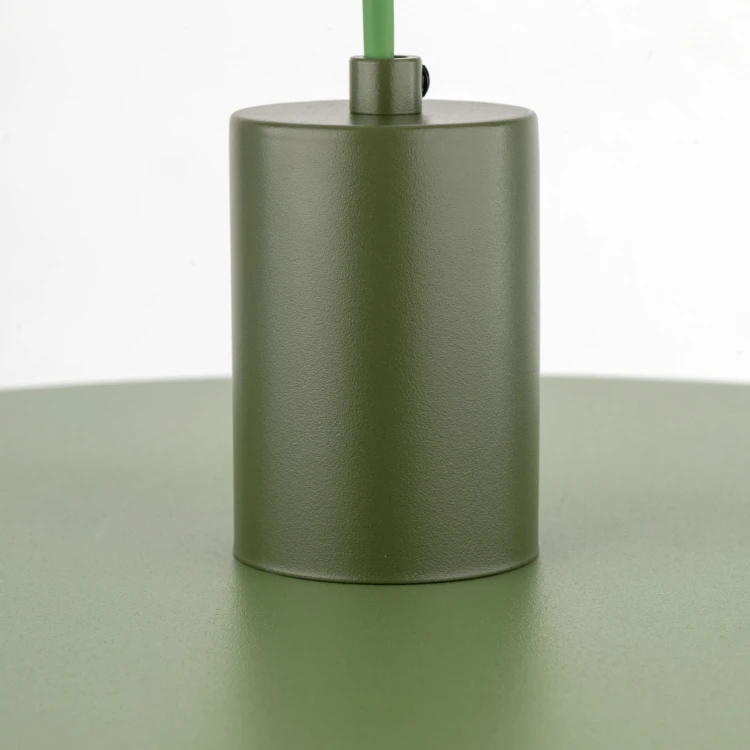 10762_SILA_GREEN_PEAPOD_D.jpg