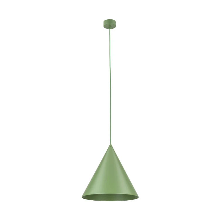 10887_CONO_PEAPOD_A.jpg