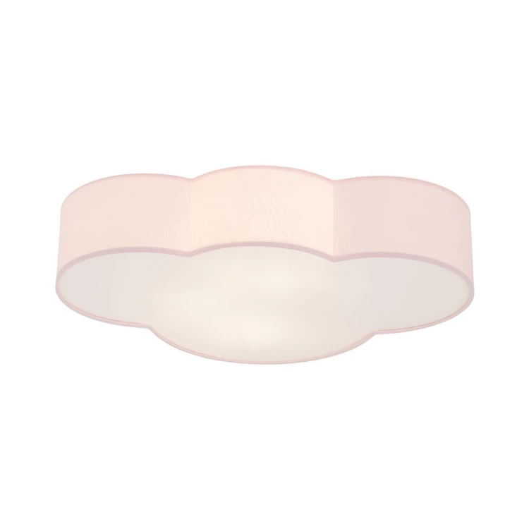 6072_CLOUD_ROSE_O1.jpg