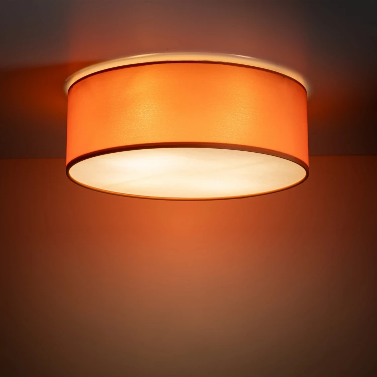 10153_NICOLA_ORANGE_B1.jpg