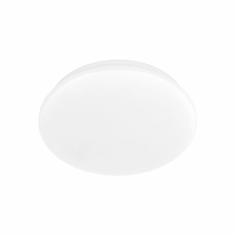 18220_OYSTER_P.jpg