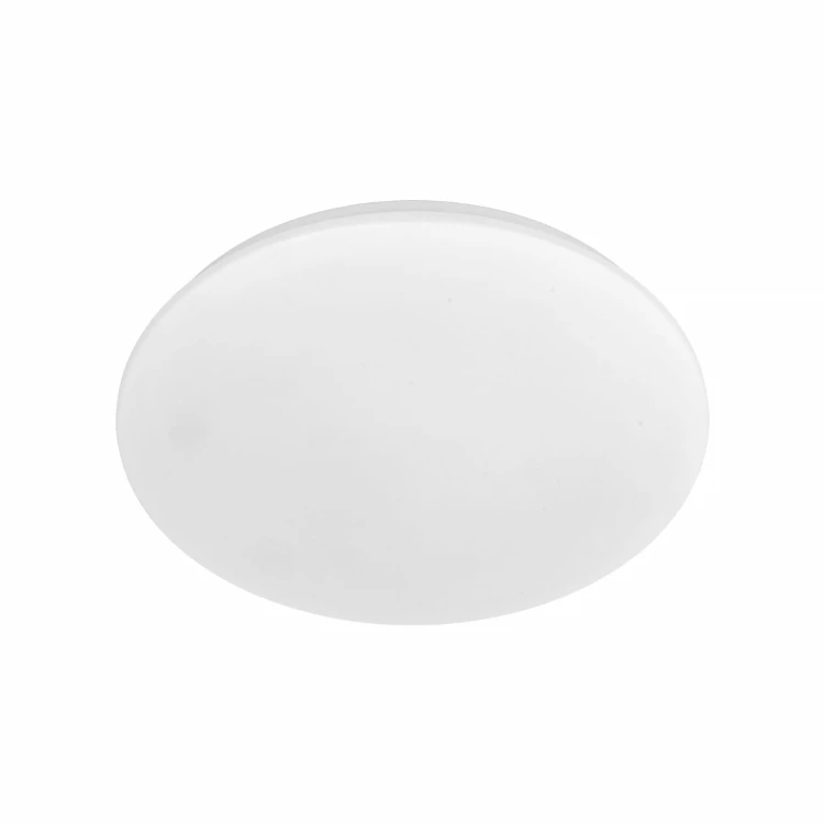 18221_OYSTER_P.jpg